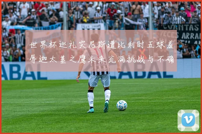 世界杯巡礼突尼斯遭比利时五球羞辱迦太基之鹰未来充满挑战与不确定性