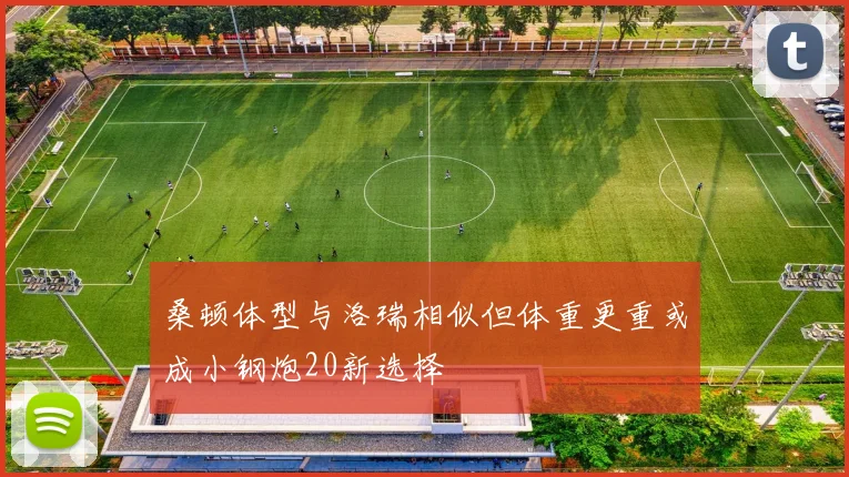 桑顿体型与洛瑞相似但体重更重或成小钢炮20新选择